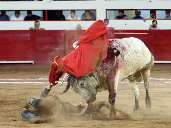 Lesionado de la clav�cula