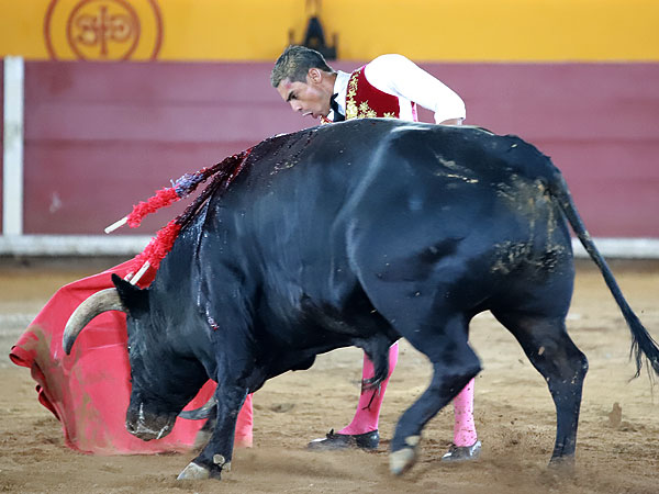 Metido en la muleta