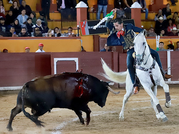 Armon�a y buena monta
