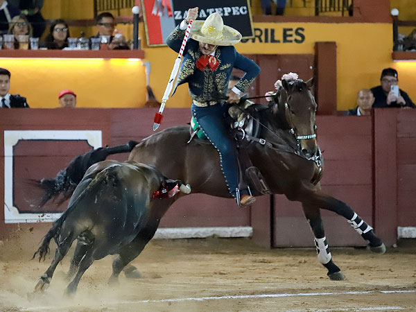 Gamero con el cuarto