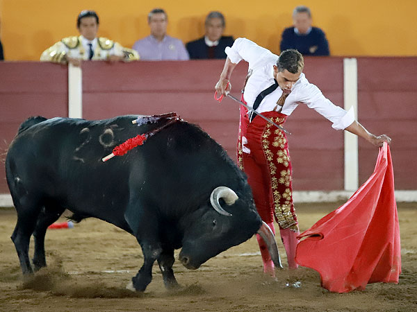 Metiendo la cara