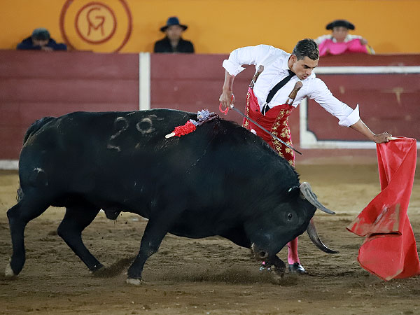 Ense�ando el camino