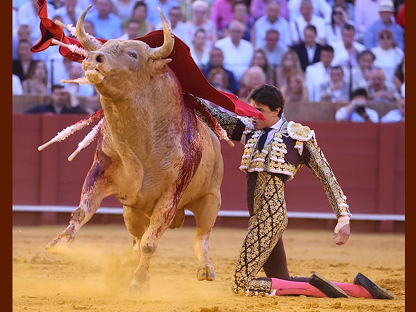 Espectacular
