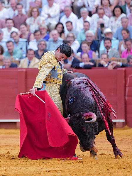 En torero