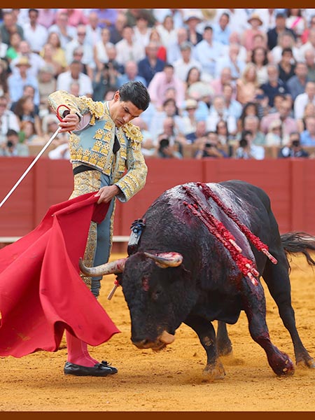 Adornos de muleta