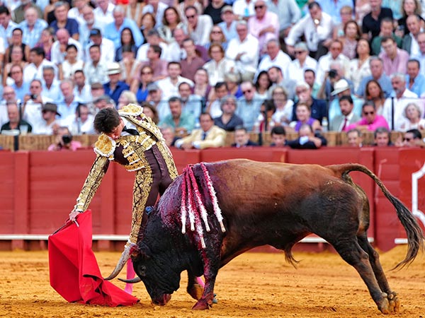 Astifino
