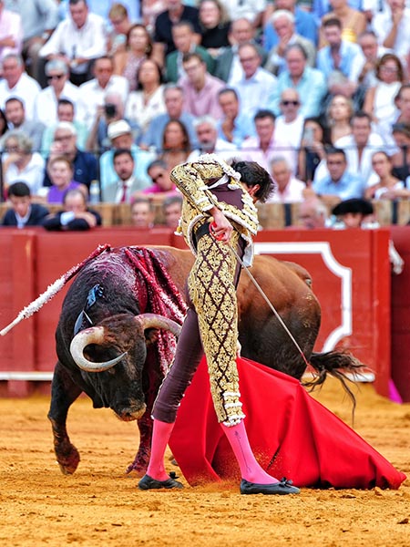 Fijeza