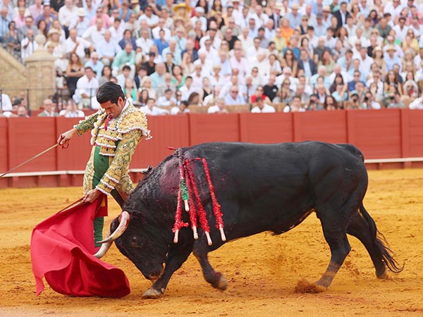 Mano izquierda
