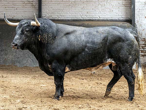 Fonseca, con Partido de Resina y Pallar&eacute;s