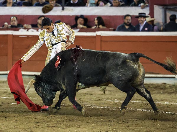 Solvencia de torero