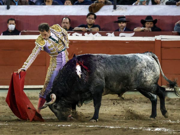 Mando de Arturo