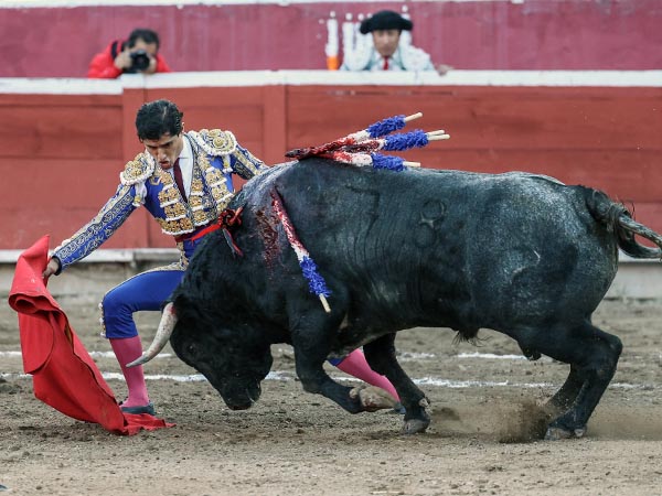 Haci�ndose del c�rdeno