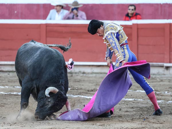 Desmayando el percal