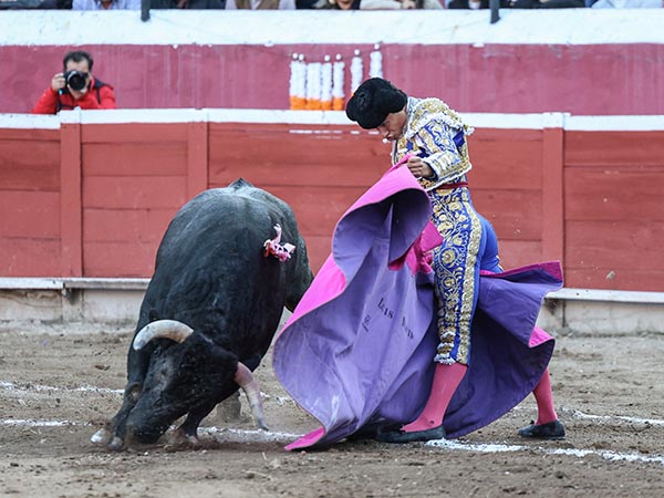 Jaleado en las ver�nicas
