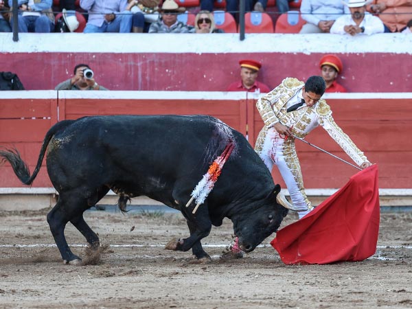 Ayudados en el tercio