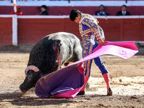 Codicia del ejemplar