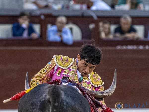 Frente al c�rdeno