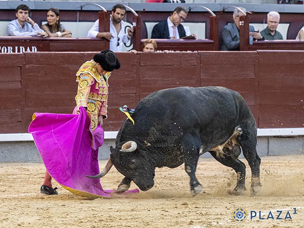 Desmayando el enga�o