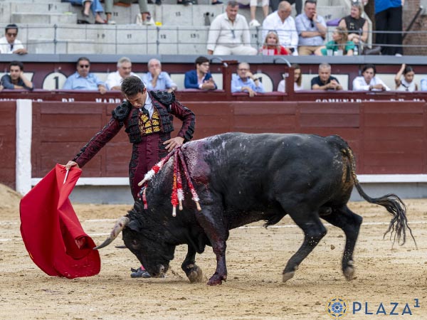 Pit�n derecho