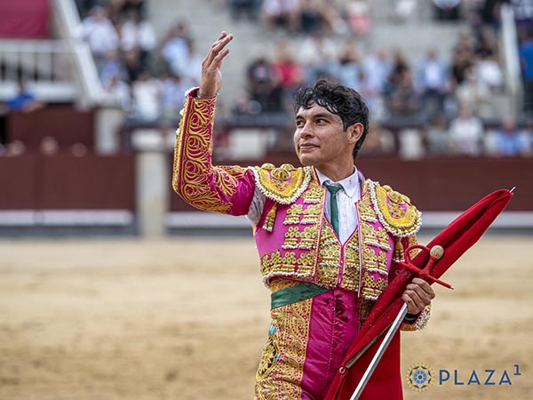 Recogiendo las palmas