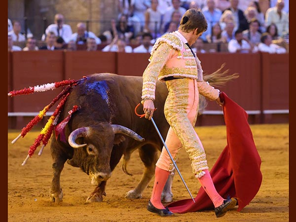 Final de serial