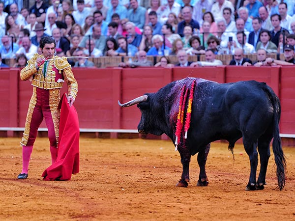 Perfilado