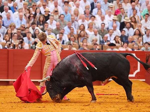 Comp�s abierto