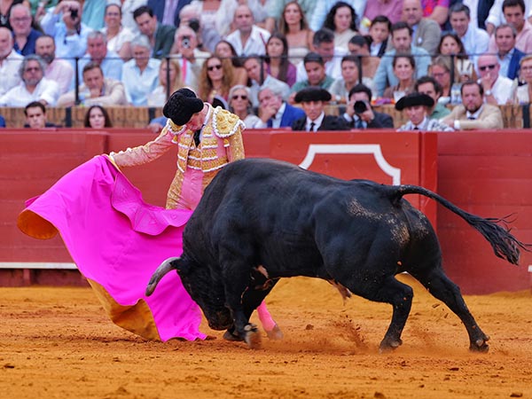 Las ver�nicas de Borja