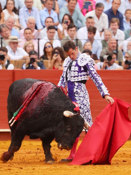 El izquierdo del negro
