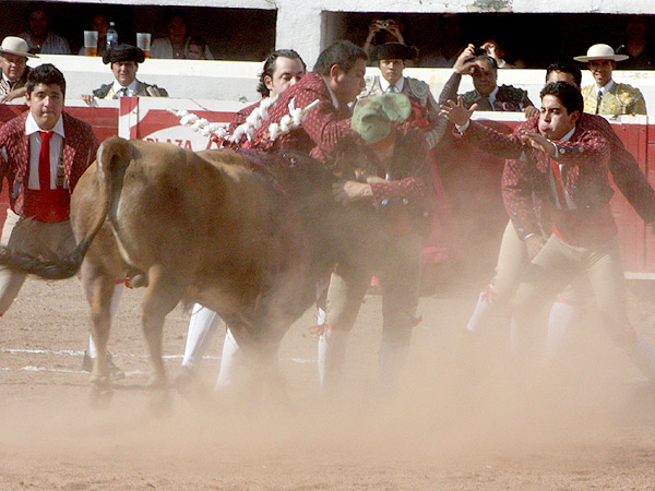 Los forcados se la jugaron