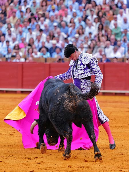 Lucidas ver�nicas de Daniel