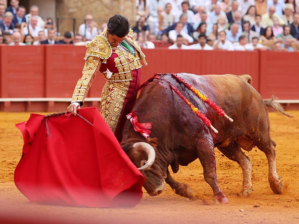 Ce�idos muletazos