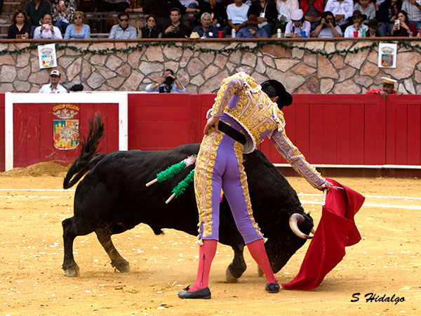 Metido en la muleta