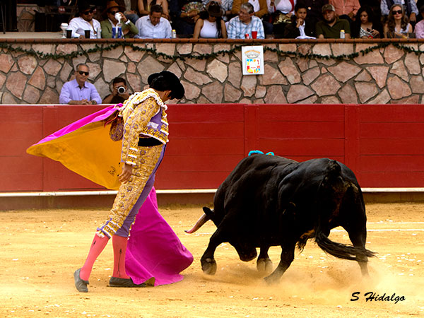 �Oleee�!