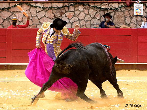 Soltando la punta del capote
