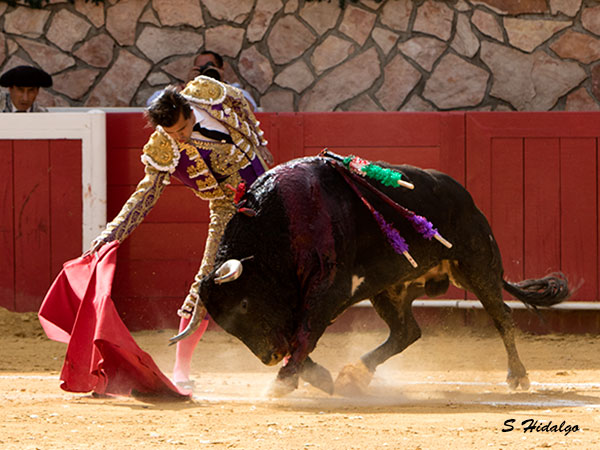 Acompa�ando