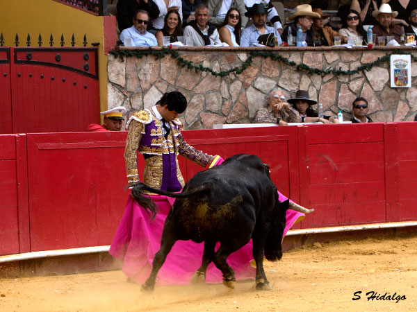 Suavidad