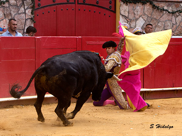 Entrega total