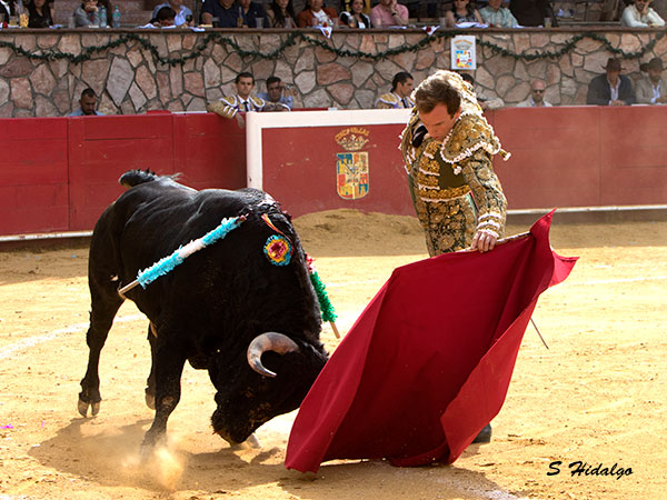 Buscando hacer faena