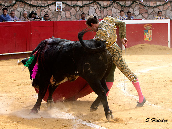 �Oleeee�!