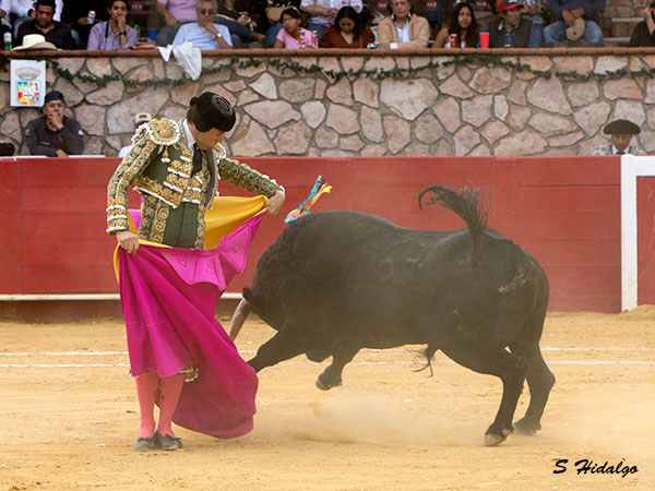 Actitud de triunfo