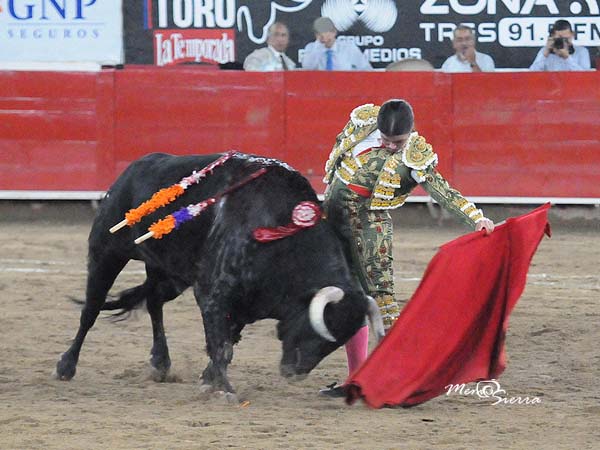 Ce�idos naturales
