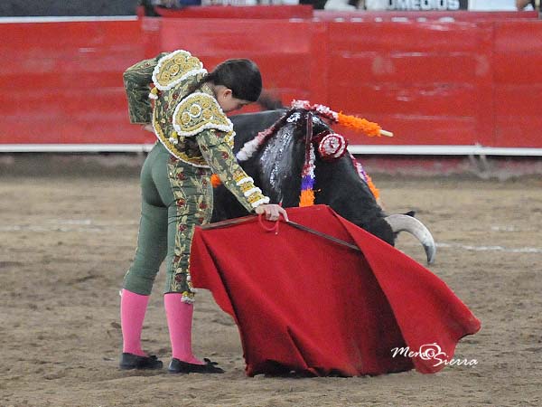 Tirando del ejemplar
