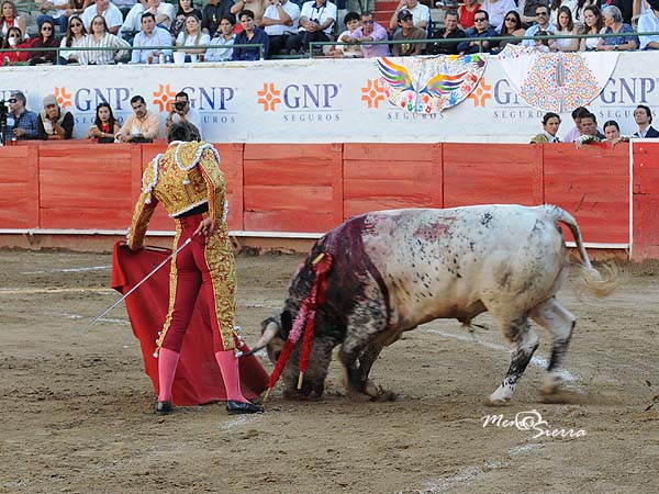Los belfos en la arena