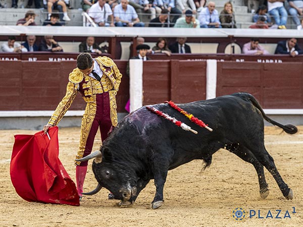 Torrej�n realiz� lo m�s notable