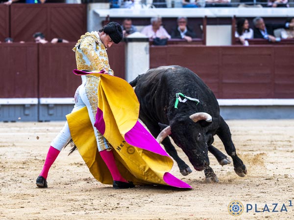 Espectacular remate