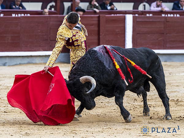 Por el pit�n derecho