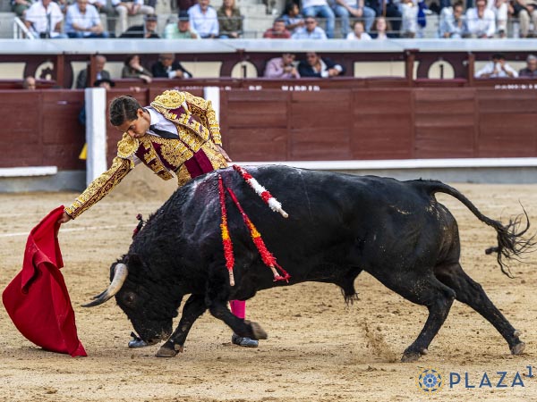 Largueza del negro