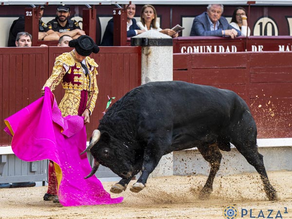 Jugando los brazos