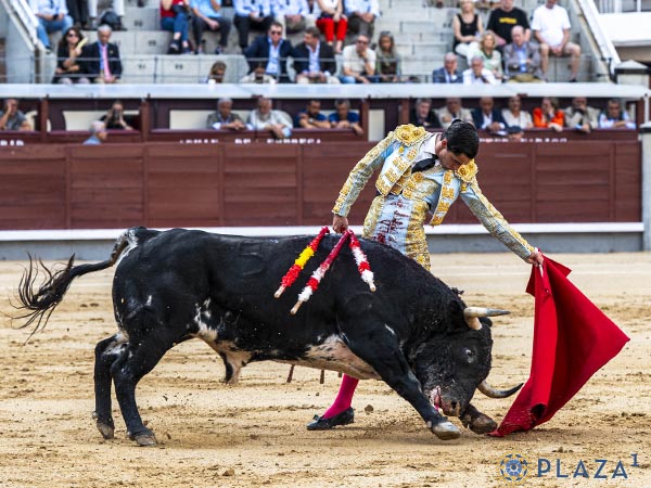 Pit�n derecho